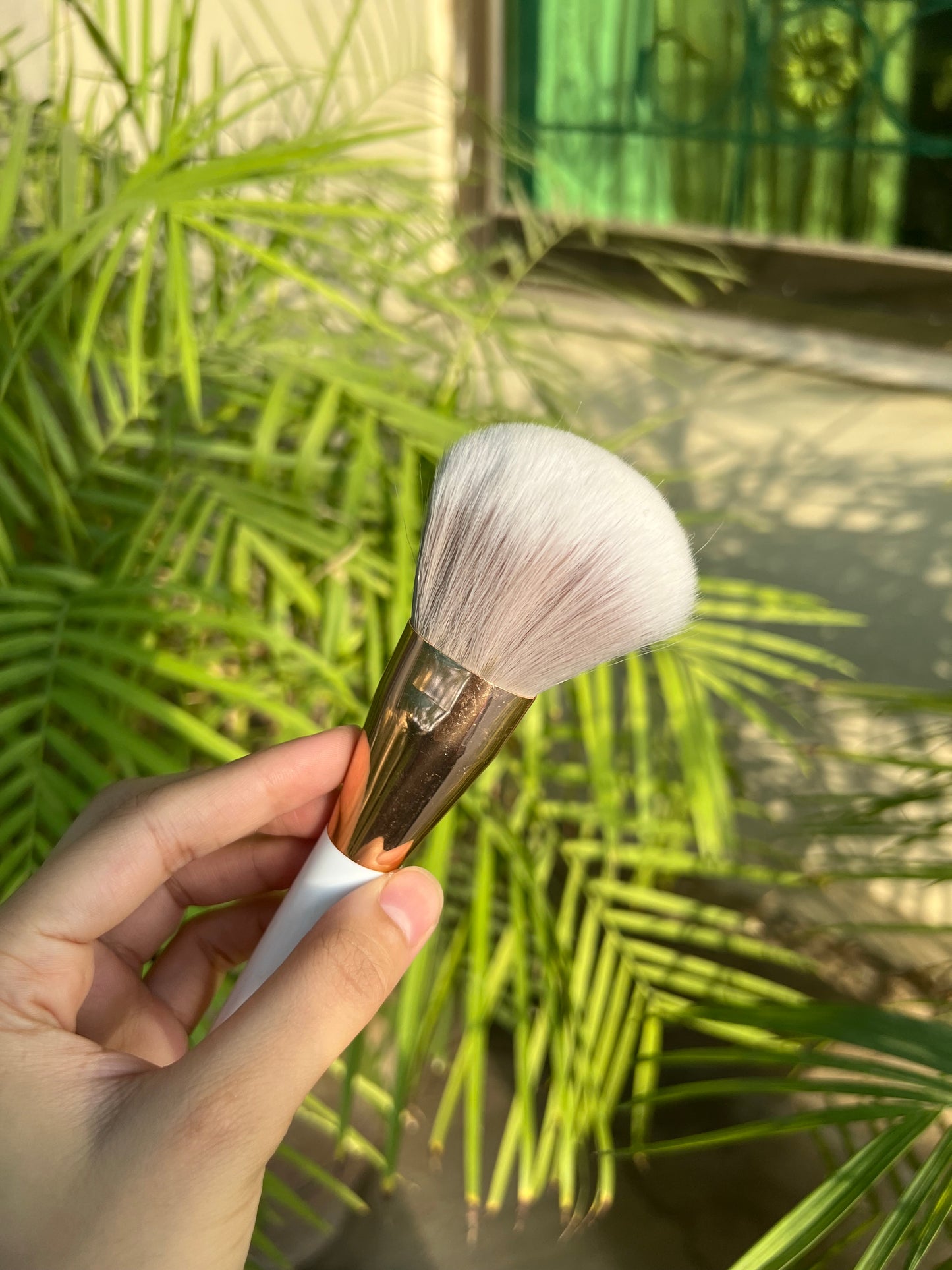 Face Brush