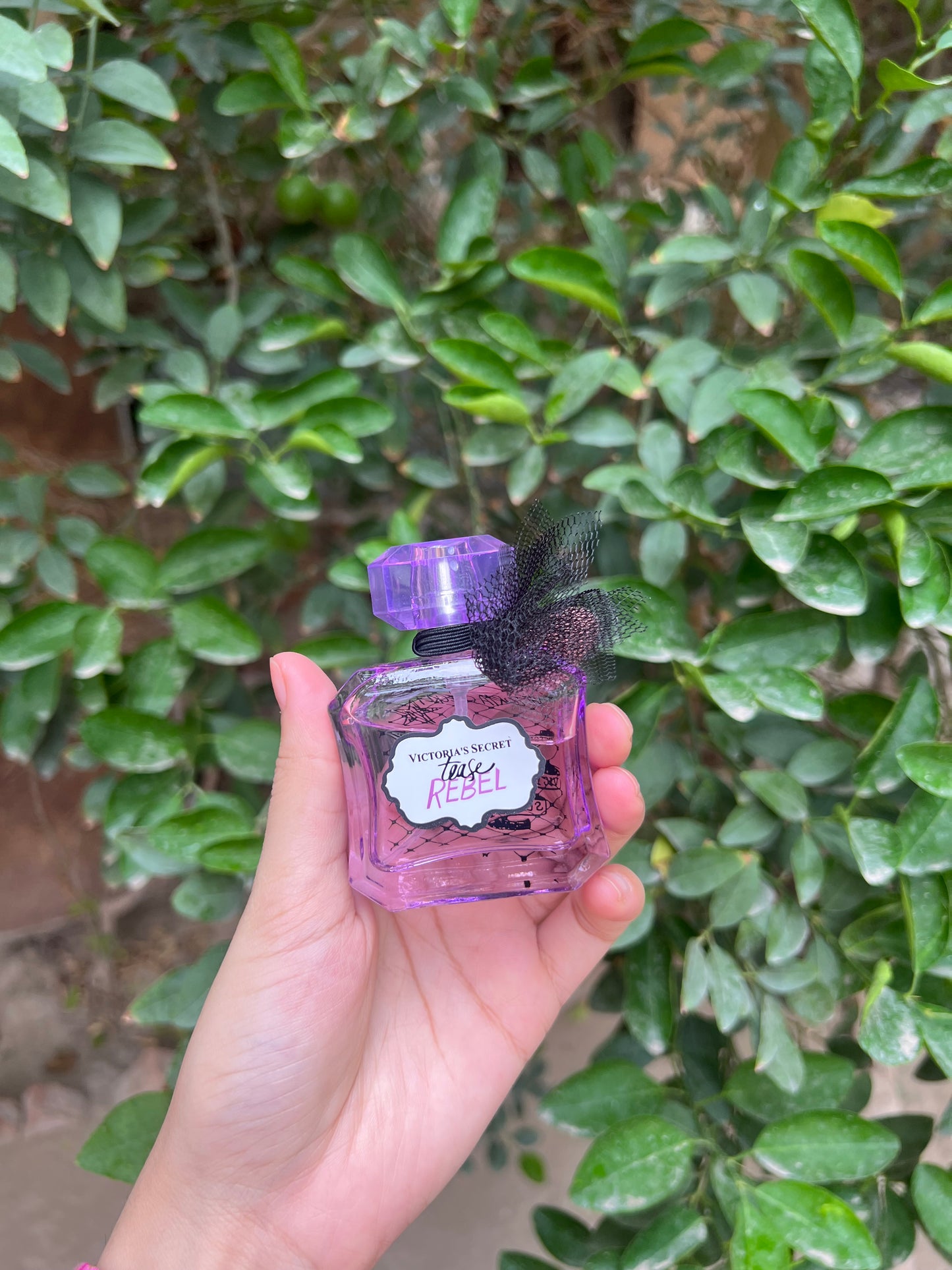 Victoria’s Secret Miniature Modern Collection