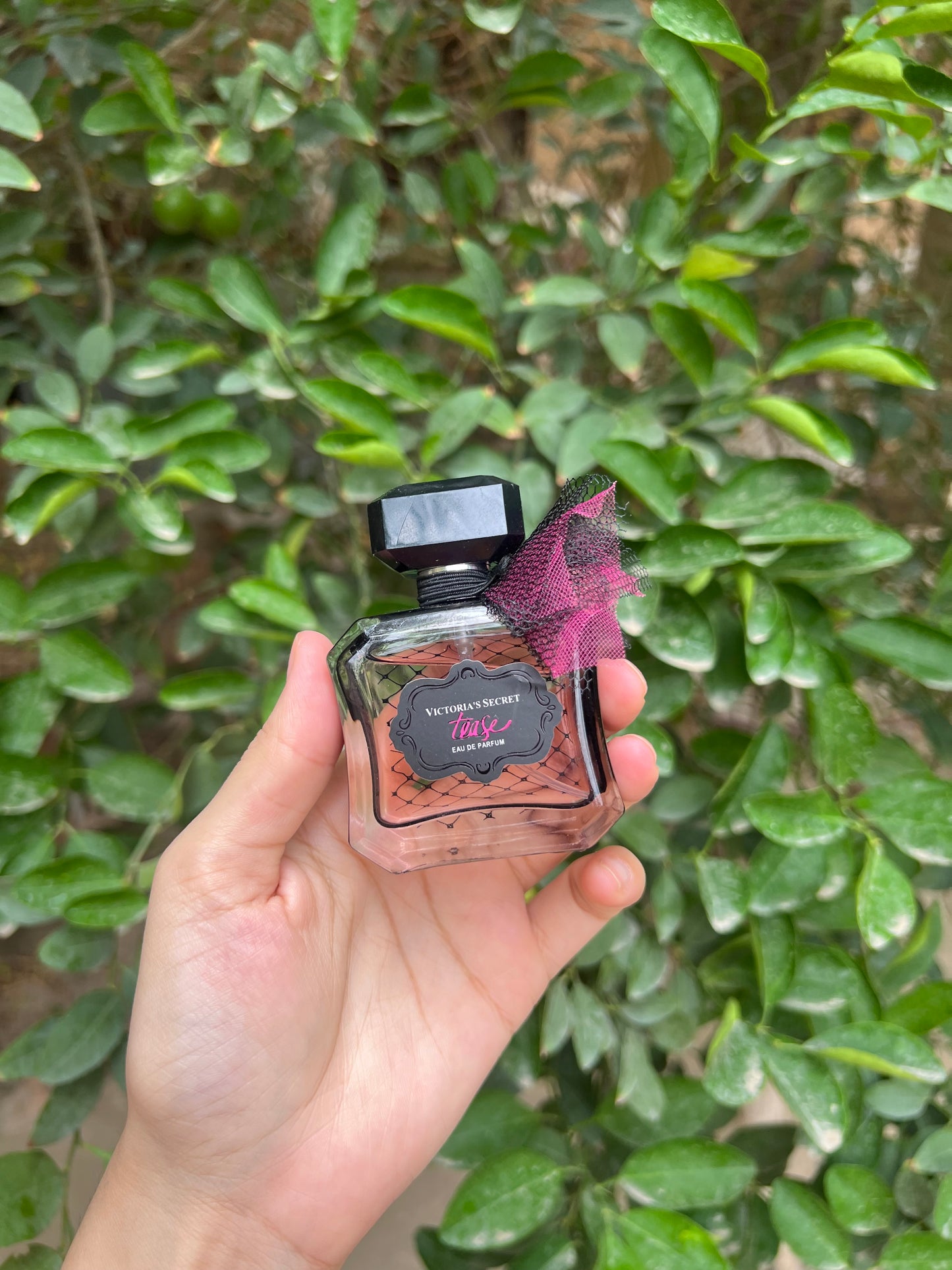 Victoria’s Secret Miniature Modern Collection