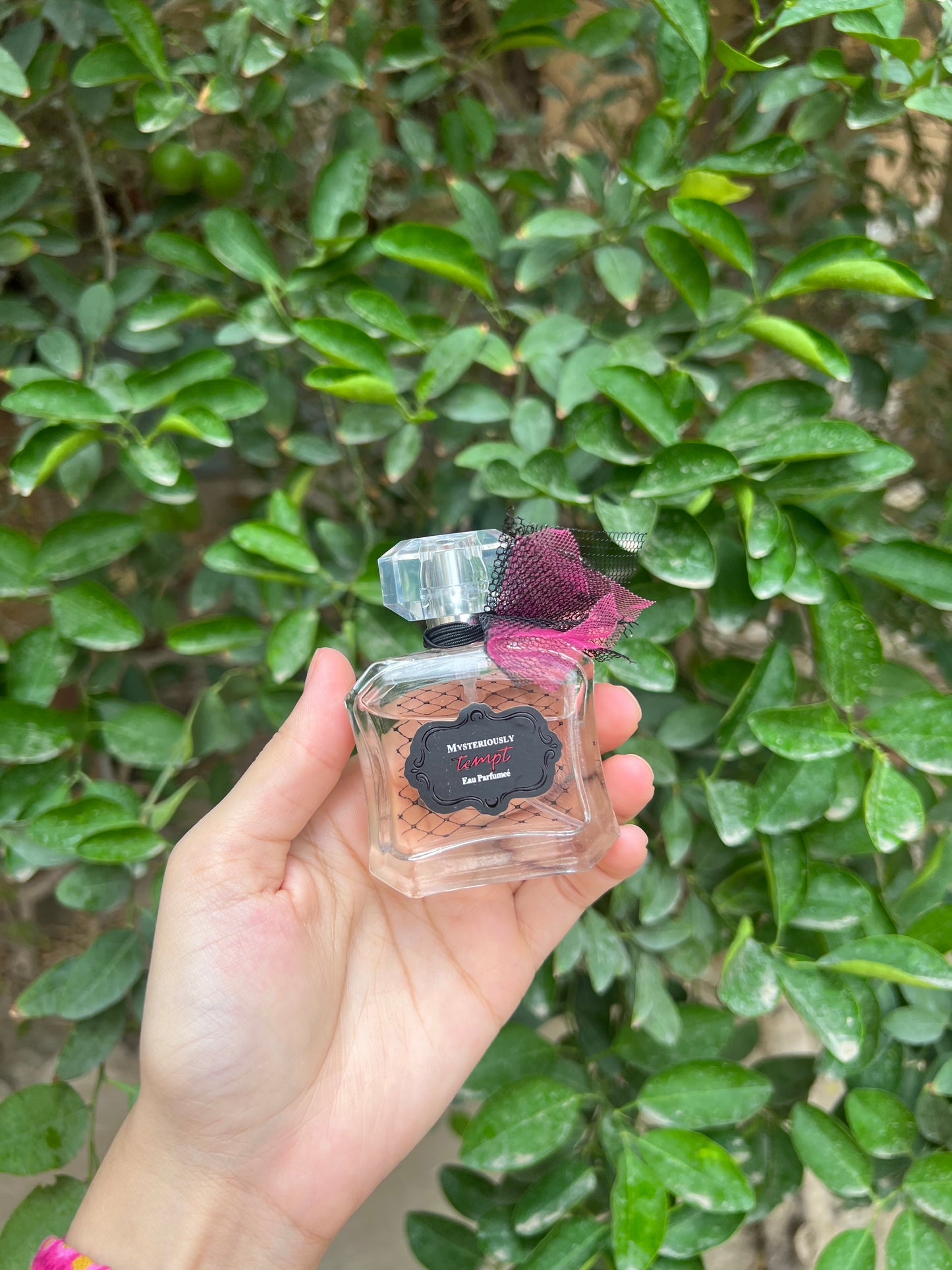 Victoria’s Secret Miniature Modern Collection