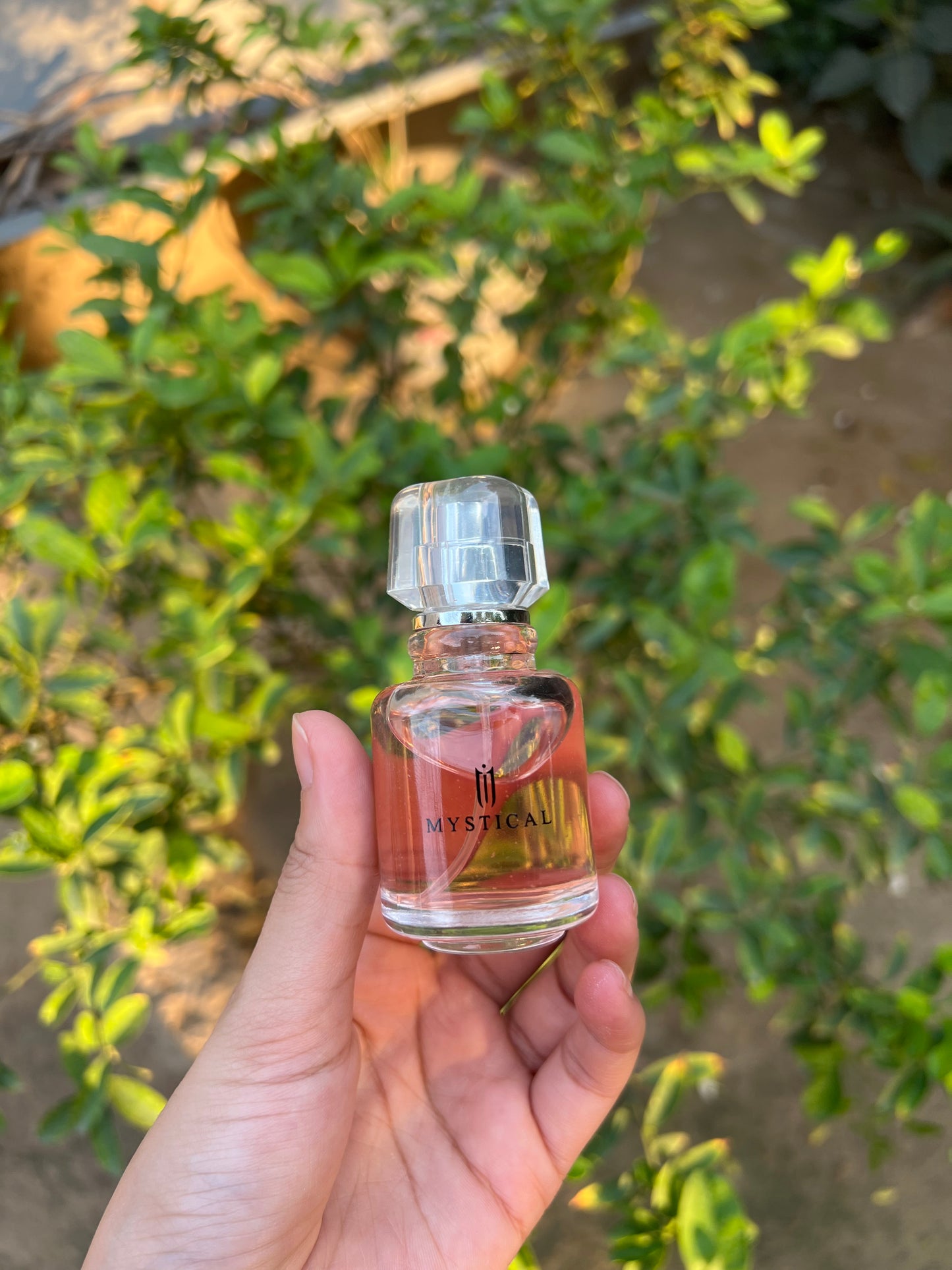 Mystical Perfume set