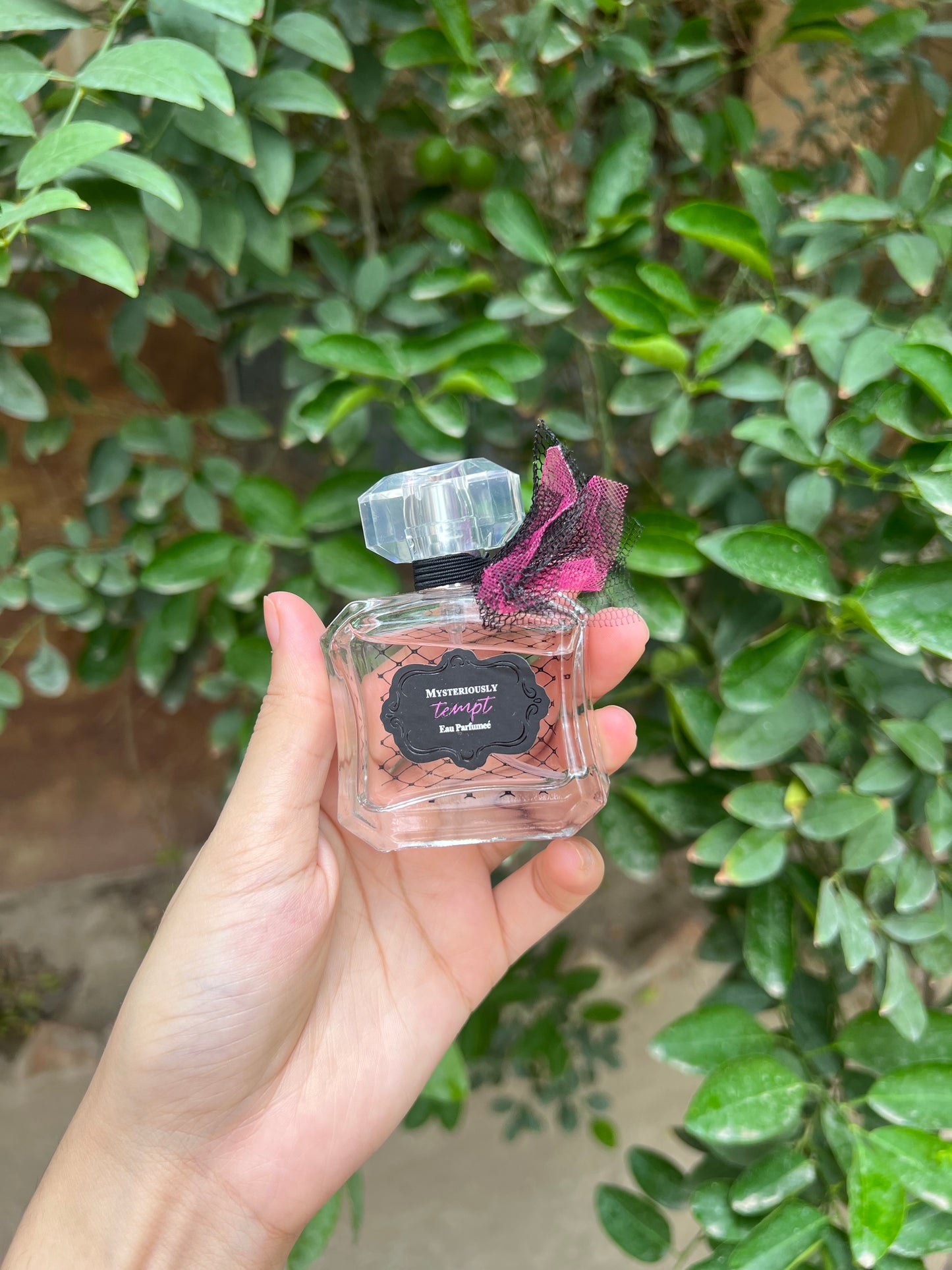 Victoria’s Secret Miniature Modern Collection