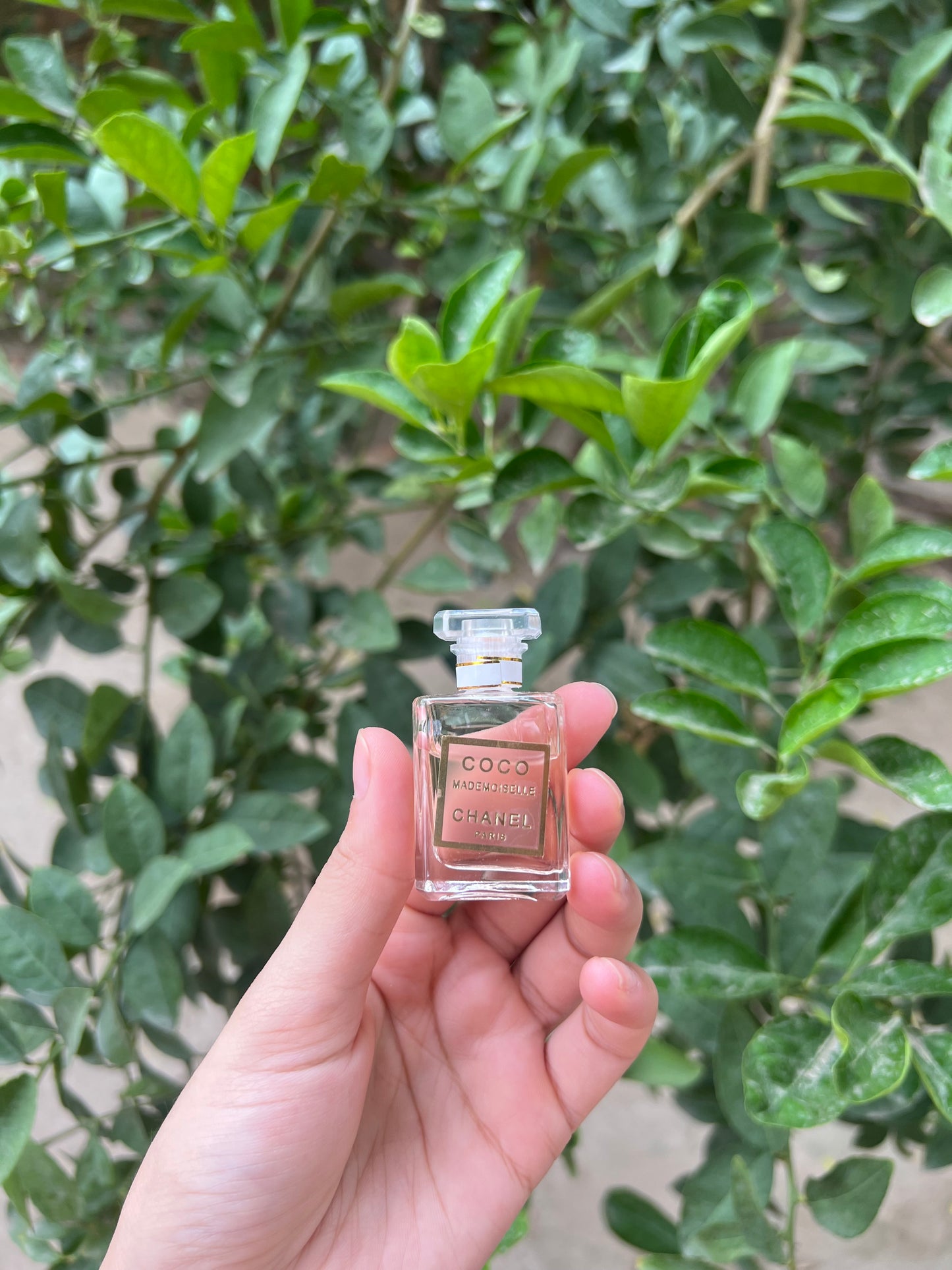 Chanel Mini Perfume Gift Set