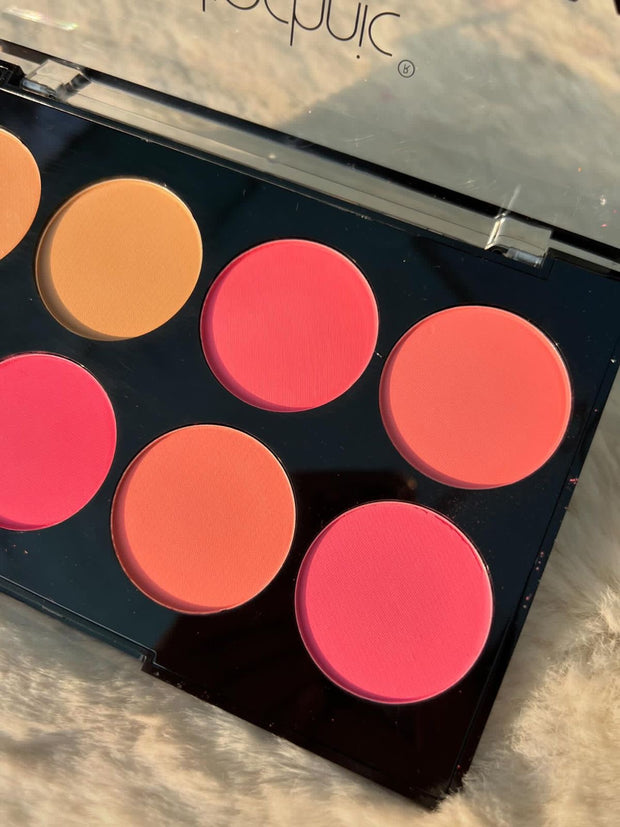 COLOUR FIX (Blush Palette) Brand: Technic